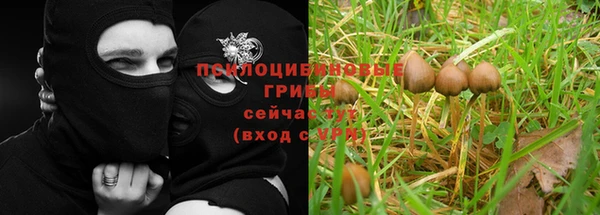 a pvp Абинск