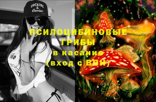 твердый Абаза