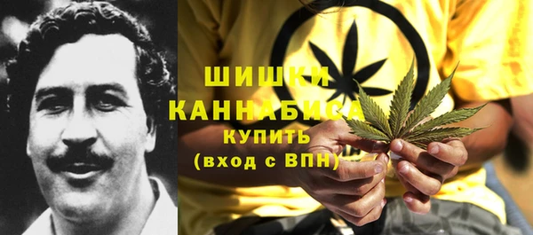 гашик Алексеевка