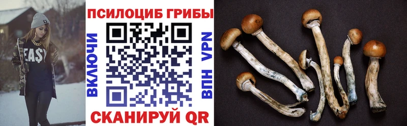 Галлюциногенные грибы GOLDEN TEACHER цена Зерноград
